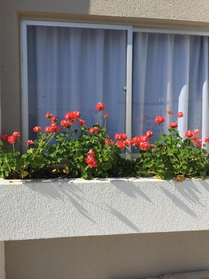 Apto Em Otima Localizacao! Lages Εξωτερικό φωτογραφία